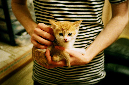 墨西哥男足在巴黎奥运会比赛中以2-0战胜日本，墨西哥男足奥运会冠军阵容