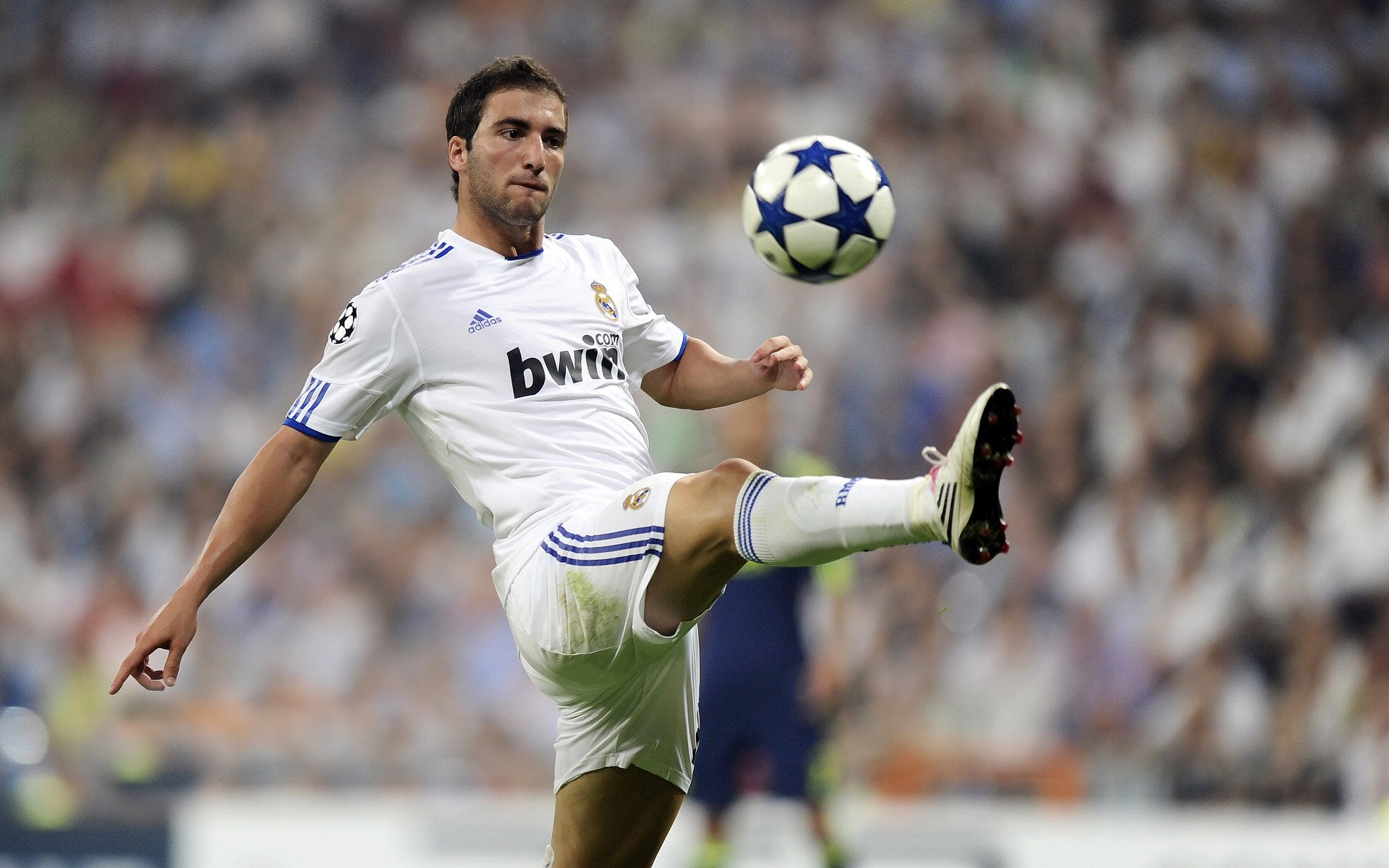 国际电竞邀请赛集结全球顶尖战队，火热开启，国际电竞俱乐部