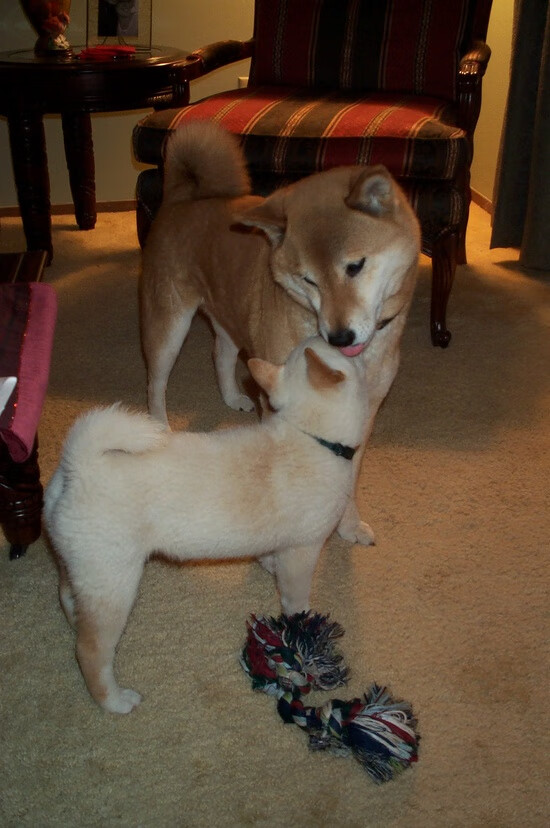 开云真人娱乐官网-战术变革：欧冠中最具创新的打法潮流，欧战欧冠